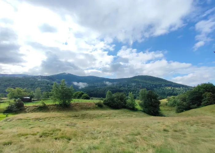 Duplex Avec Vue Au Centre De *